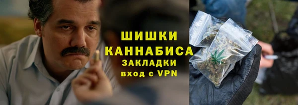гидропоника Дмитриев