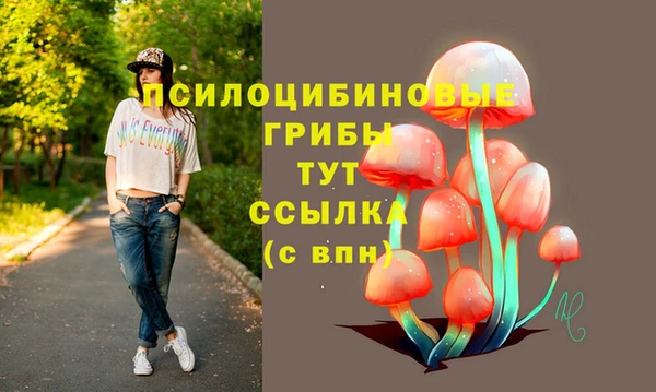 мдма Дмитров