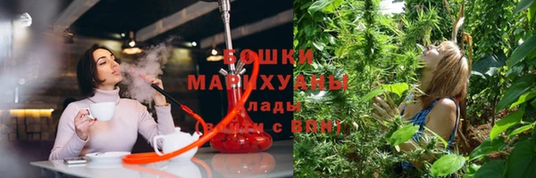 гидропоника Дмитриев